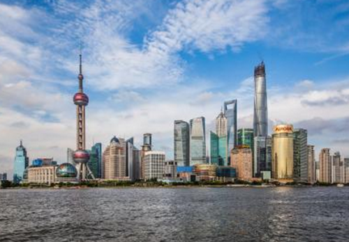 上海自然之旅，温柔邂逅都市绿意