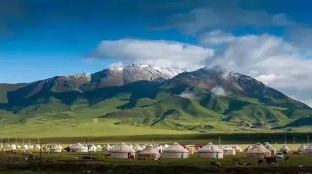 新疆之韵，探索独特文化与风情